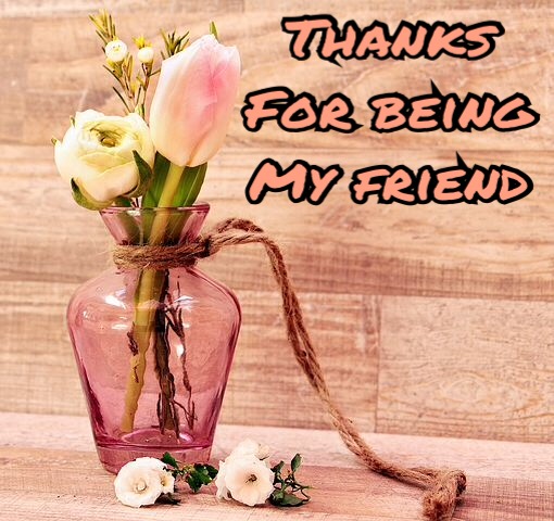 Thanks for being my friend image 