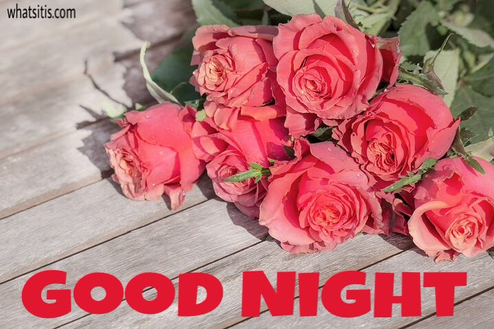 Good night Flowers Wallpaper with rose 