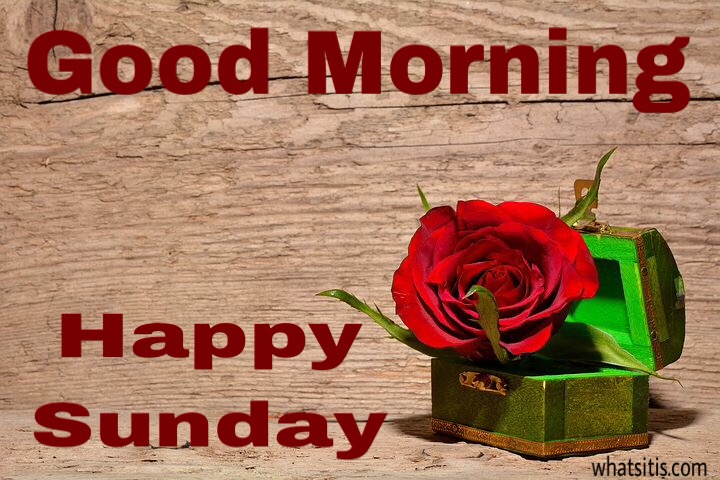 New good morning sunday images for Facebook 