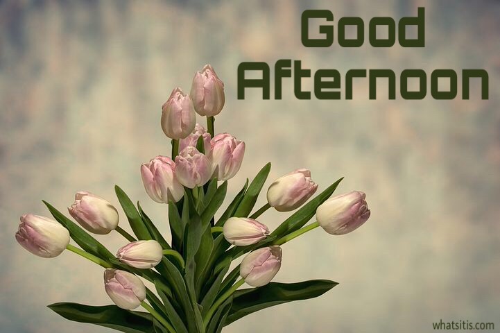 Good Afternoon Flowers Photo