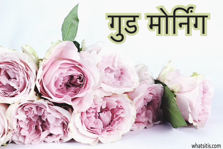 हिंदी Good Morning Messages Quotes In Hindi For Whatsapp With Images
