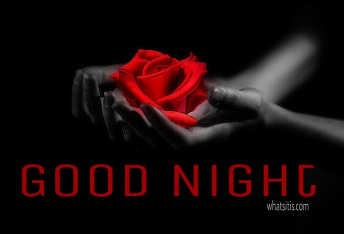 Good night red rose photo 