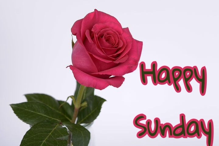 50 good morning sunday images download