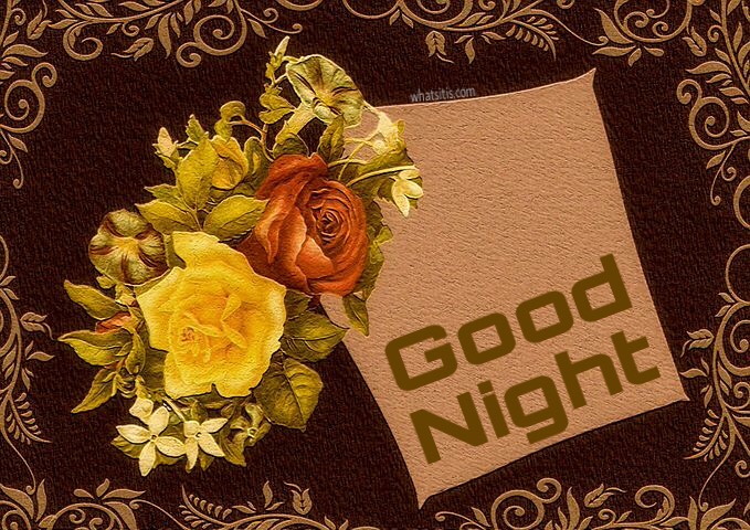 good night flowers wallpapers