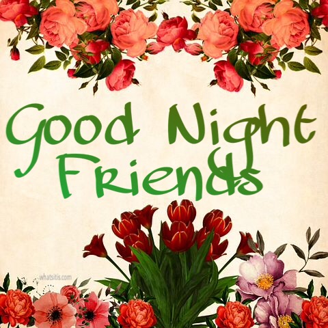 Good night flowers image download 