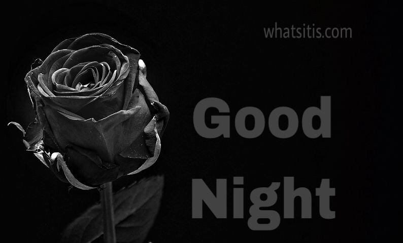Most beautiful good night image with flower 