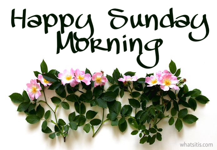 Good morning sunday wishes 
