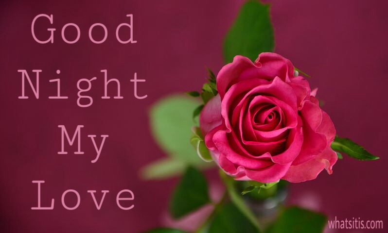 Good night image with red rose 
