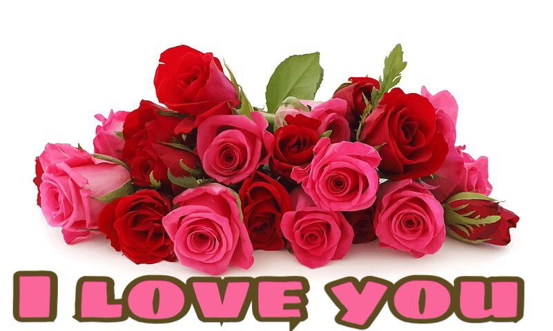i love you images with roses