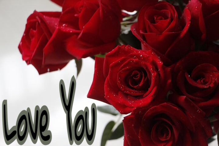 I love you Images For Facebook with rose 