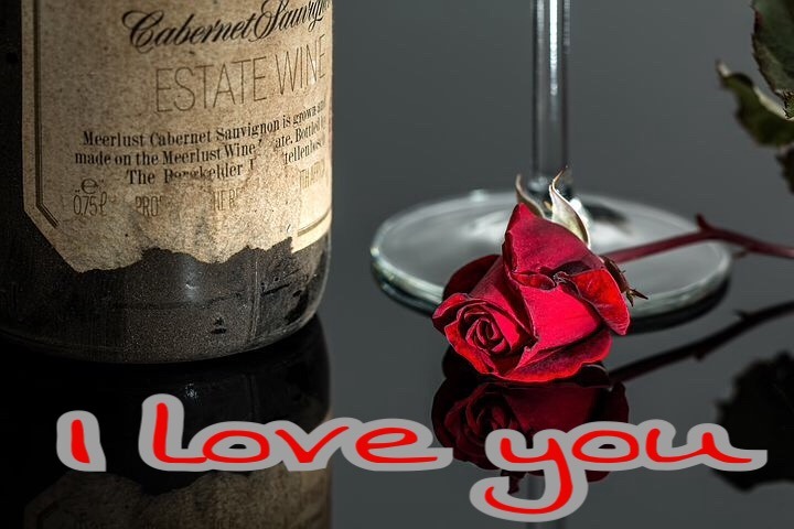 I love you image with red rose for lover