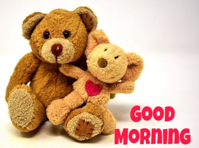 Good morning images with teddy bear 
