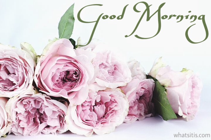 Good morning images with flowers hd 