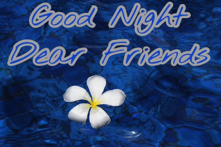 New Good Night Flowers Images Hd With Message Of Good Night 