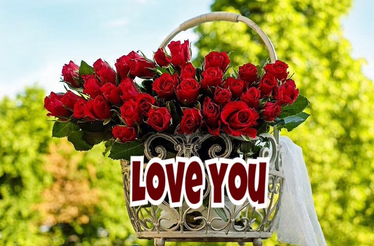 i love you images with roses bouquet 