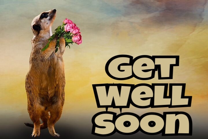 Get well soon whatsapp images download free