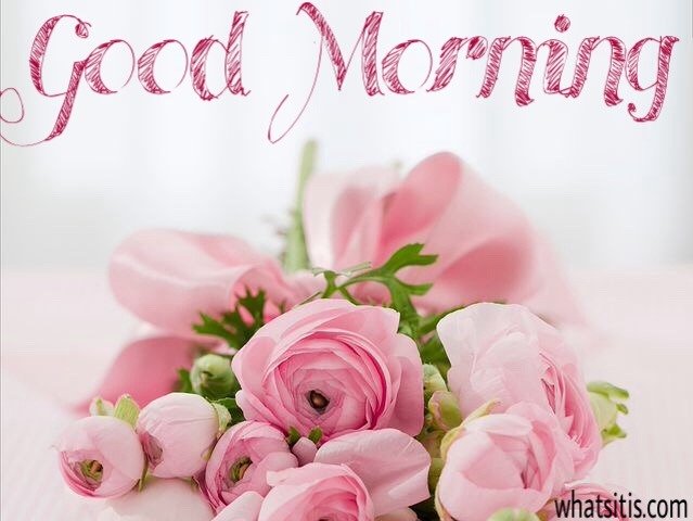 Goo morning images download with flowers 
