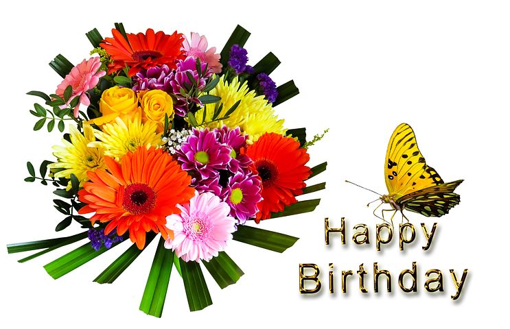 50 50 Cute Birthday Wishes For Best Frends To Wish Happy Birthday