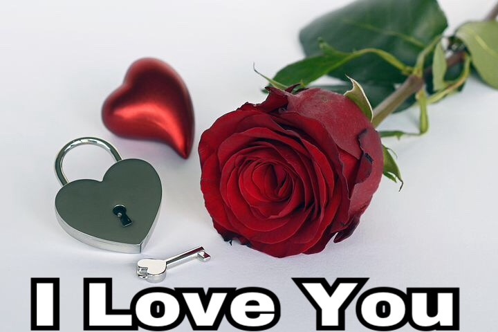 I Love You Images With Roses