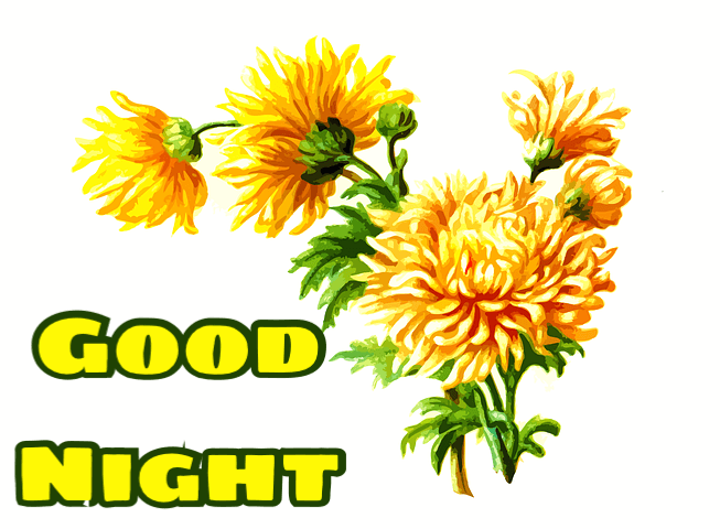Nice good night flowers images 