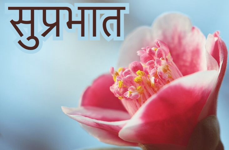 suprabhat images with flowers