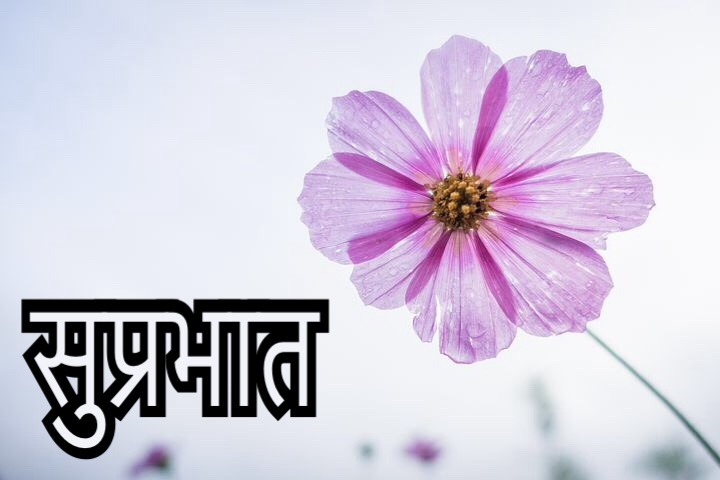 50 Latest Suprabhat Images For Whatsapp In Hindi | Suprabhat In Hindi 