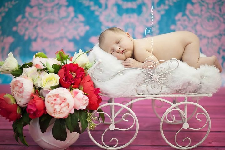 Baby whatsapp dp images Download 