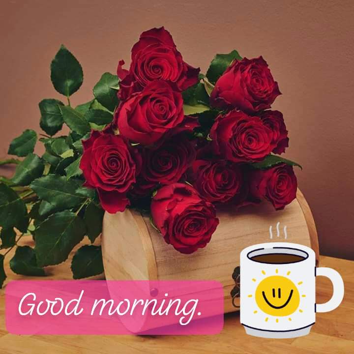 New good morning images with rose flowers