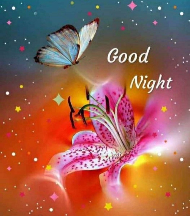 Beautiful Good Night Image Free Download 