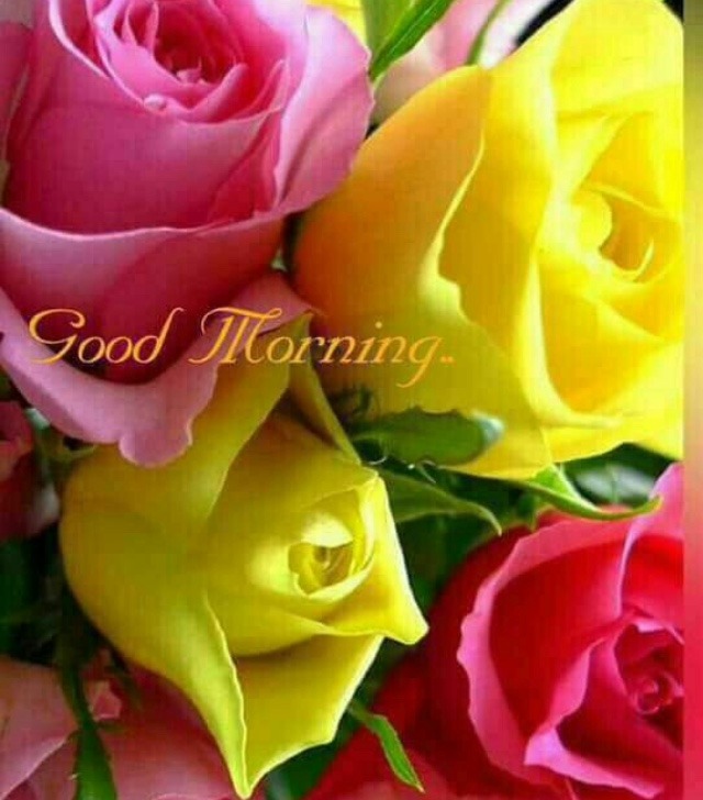 good morning wishes with yellow roses & pink