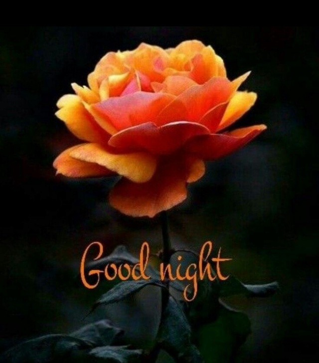 Good Night Grafics With Flower