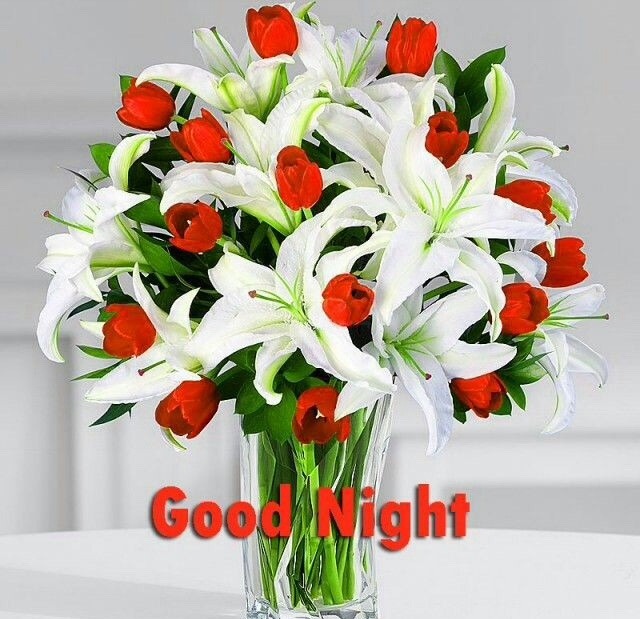Flowers good night pictures images