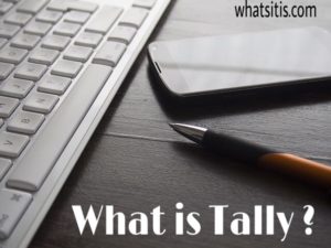 What Is Tally In Accounting Tally Features And Basics