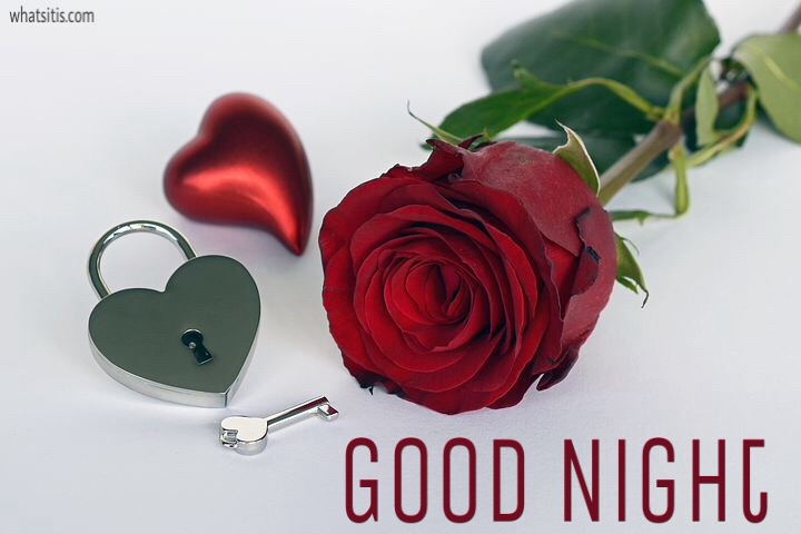 Good night rose love