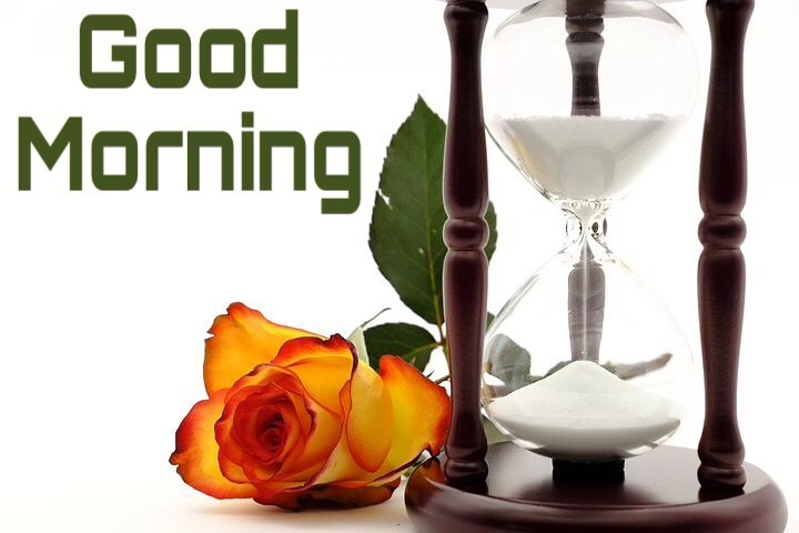 Free Good Morning Images With Rose