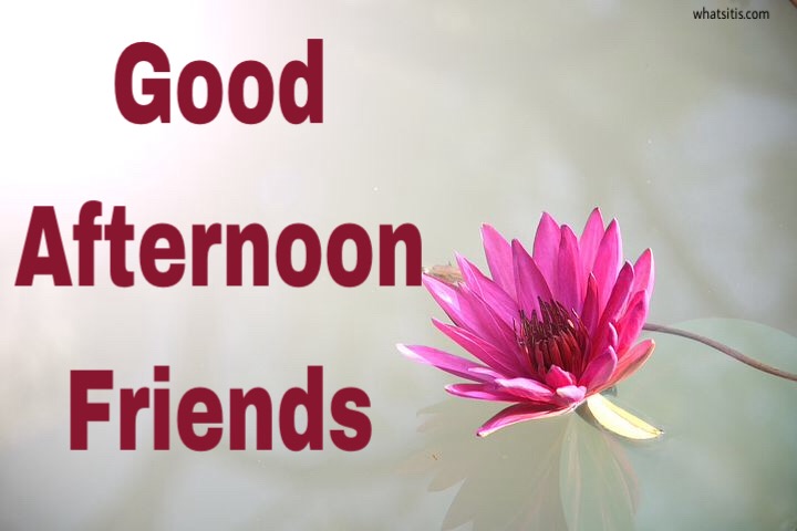 Good Afternoon Wishes Images 