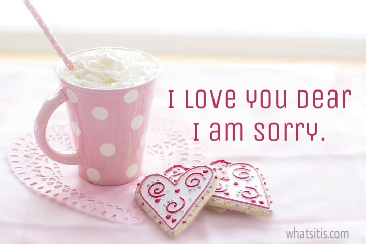 I love you dear i am sorry 