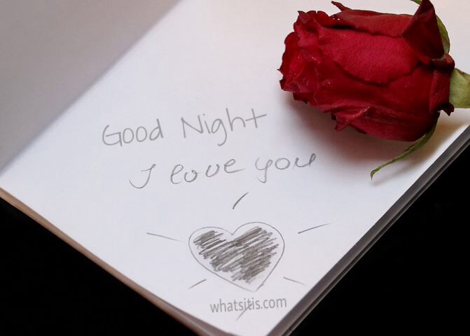 Good night rose love