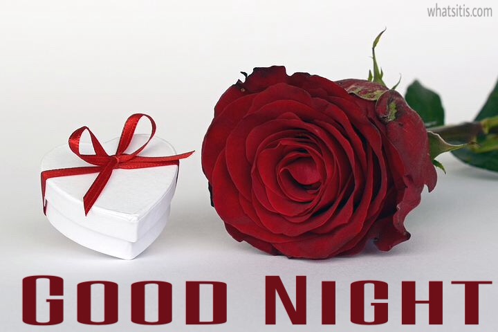 Red rose good night pic