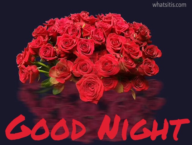 78 Romantic Beautiful Rose Quotes Good Night Pic Love 2021 HD wallpaper |  Pxfuel