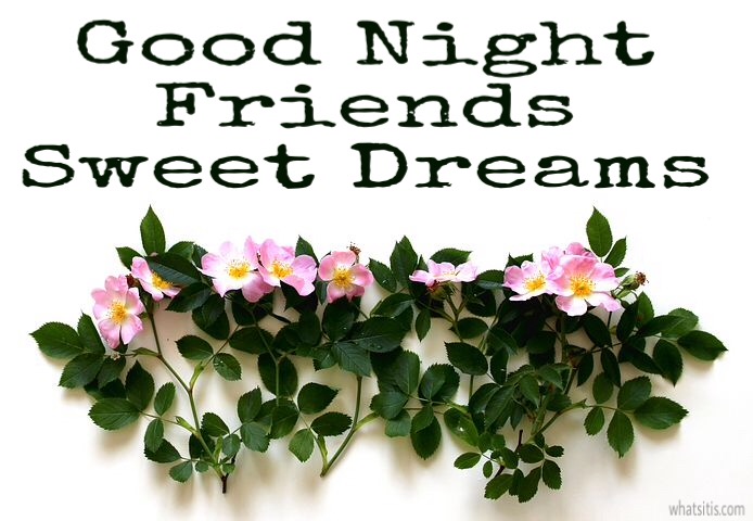 Good night friends sweet dreams 