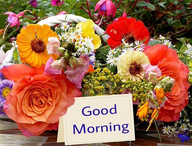 Good morning flowers with messages 
