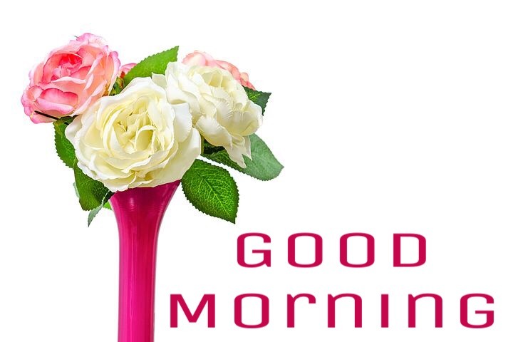 Flowerpot image with good Morning 
