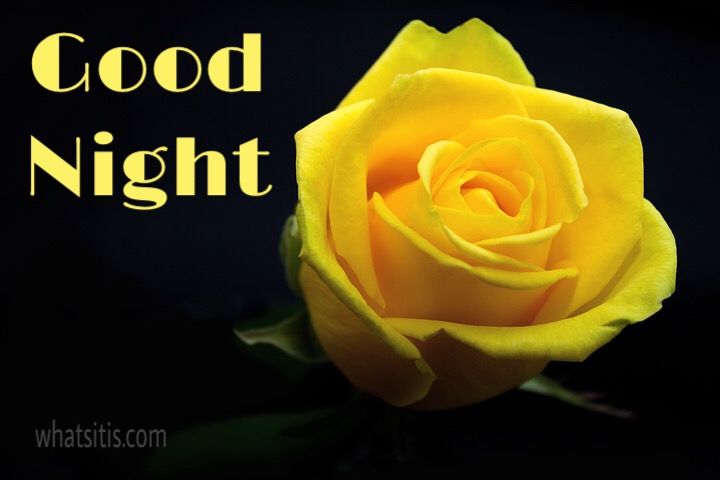 Best Heart Touching Good Night Messages For Friends With Pictures