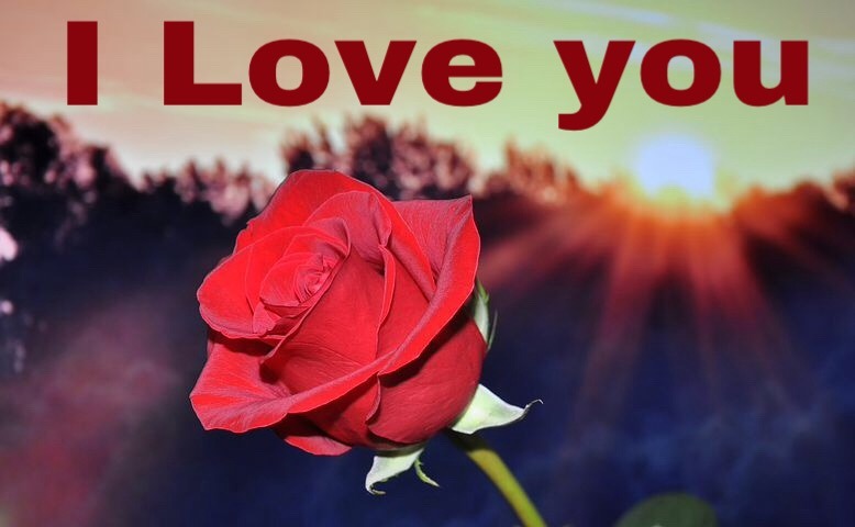 I love you roses images for love 