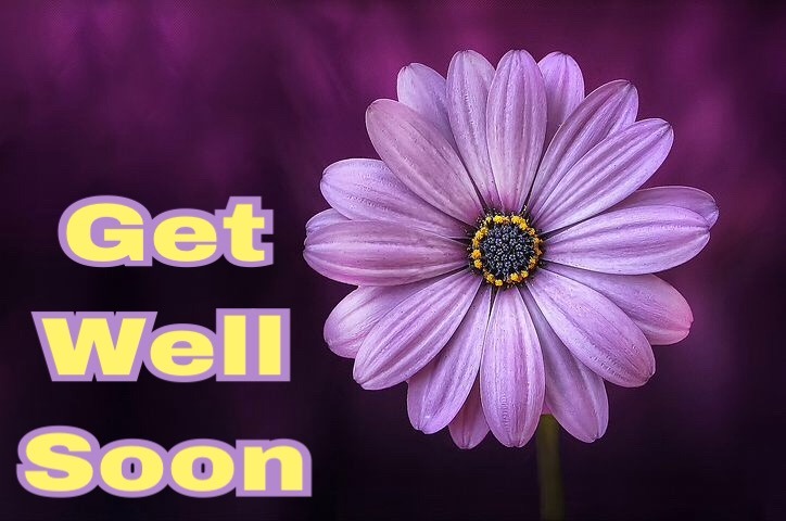 get well soon flowers images