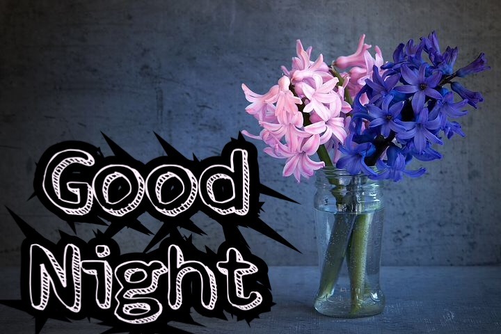 DOWNLOAD GOOD NIGHT FLOWERS WALLPAPERS