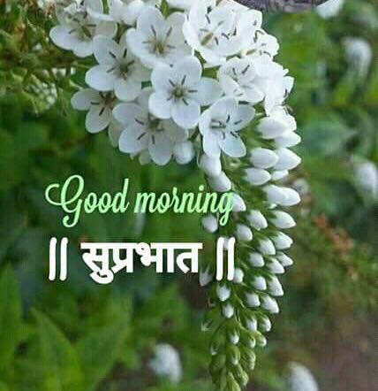 good morning marathi Images For Whatsapp 