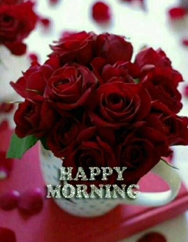 good morning rose images download