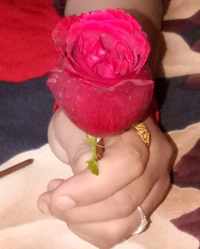 dp of rose flower